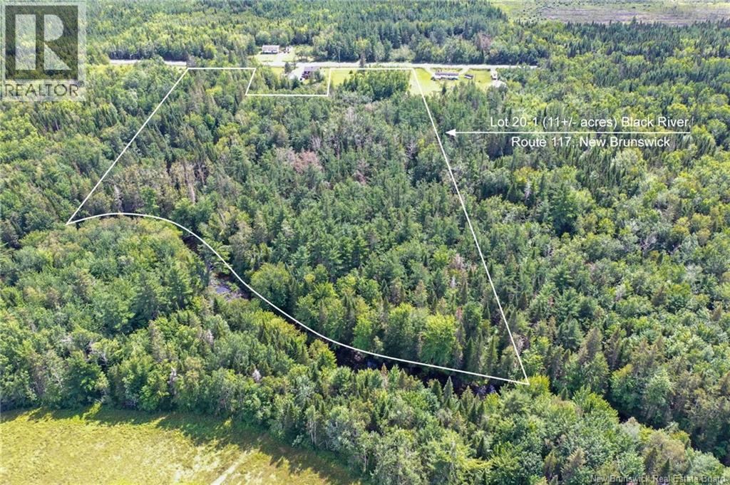 11.2 Acres South Black River, Black River Bridge, New Brunswick  E1N 5S8 - Photo 5 - NB130534