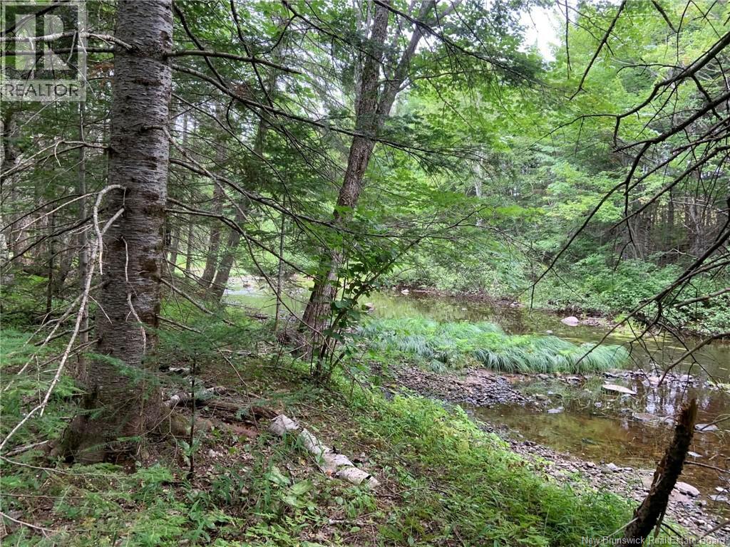 11.2 Acres South Black River, Black River Bridge, New Brunswick  E1N 5S8 - Photo 7 - NB130534