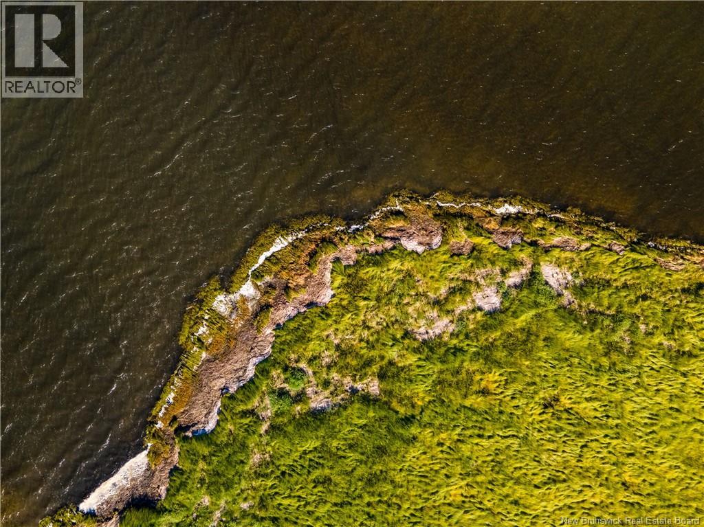 Vacant Lot 530 Route, Grande-Digue, New Brunswick  E4R 5P6 - Photo 12 - NB130524