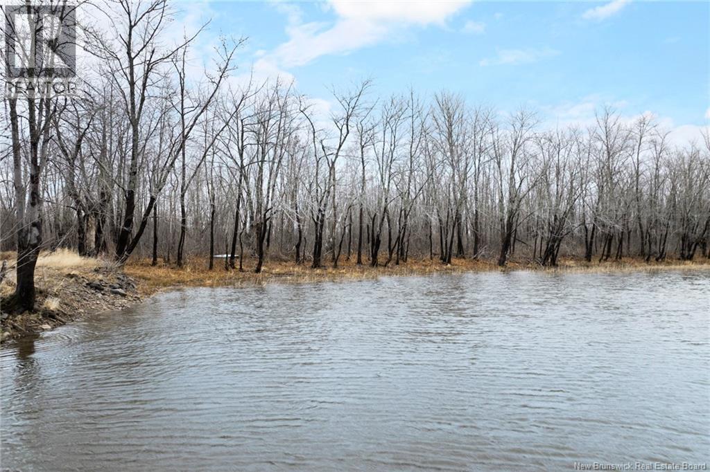 Lot Upper Coytown Road, Upper Gagetown, New Brunswick  O0O 0O0 - Photo 18 - NB130431