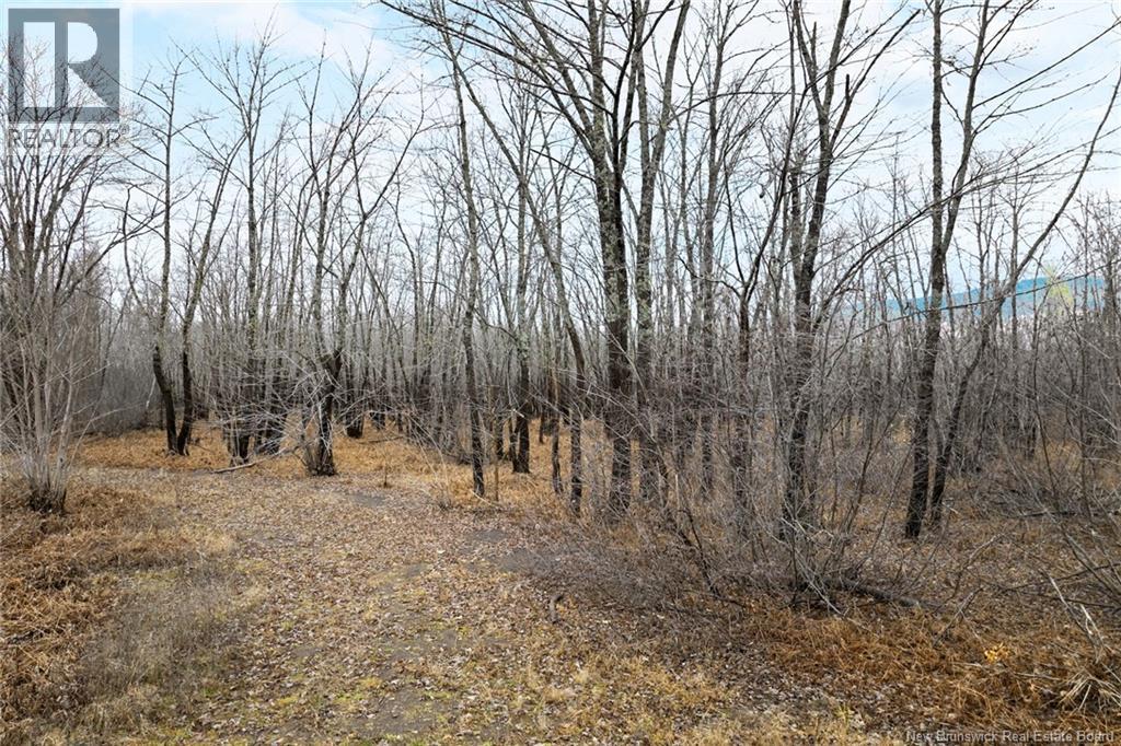 Lot Upper Coytown Road, Upper Gagetown, New Brunswick  O0O 0O0 - Photo 20 - NB130431
