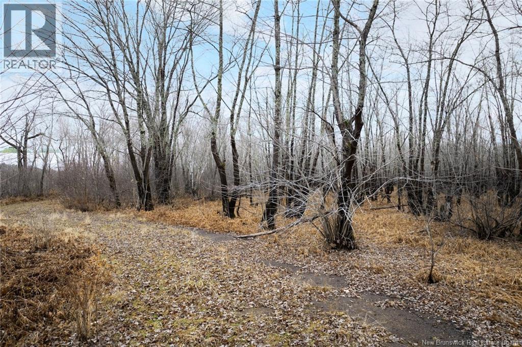 Lot Upper Coytown Road, Upper Gagetown, New Brunswick  O0O 0O0 - Photo 21 - NB130431