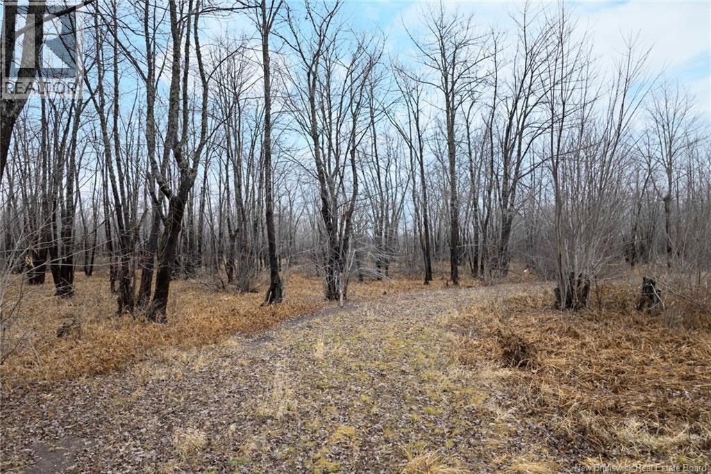 Lot Upper Coytown Road, Upper Gagetown, New Brunswick  O0O 0O0 - Photo 23 - NB130431