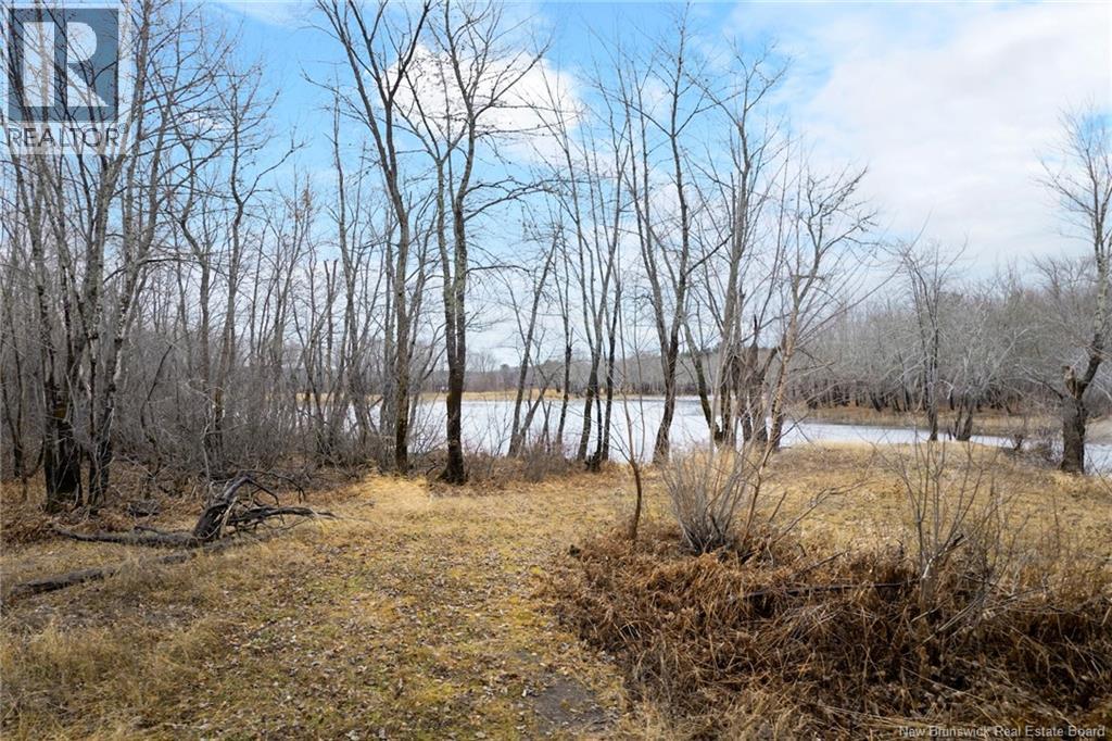 Lot Upper Coytown Road, Upper Gagetown, New Brunswick  O0O 0O0 - Photo 25 - NB130431