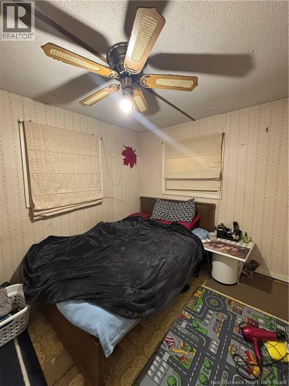 1668 Route 205, Saint-François-De-Madawaska, New Brunswick  E7A 1P8 - Photo 10 - NB130571