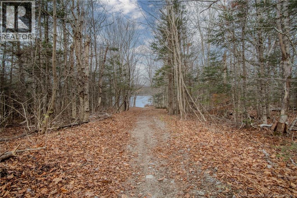 26 Fraser Avenue, Saint John, New Brunswick  E2N 1M3 - Photo 46 - NB130492