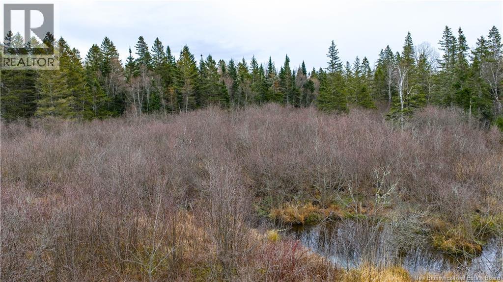 Lot 2019-1 Route 121, Bloomfield, New Brunswick E5N 4V2 - Photo 13 - NB130392