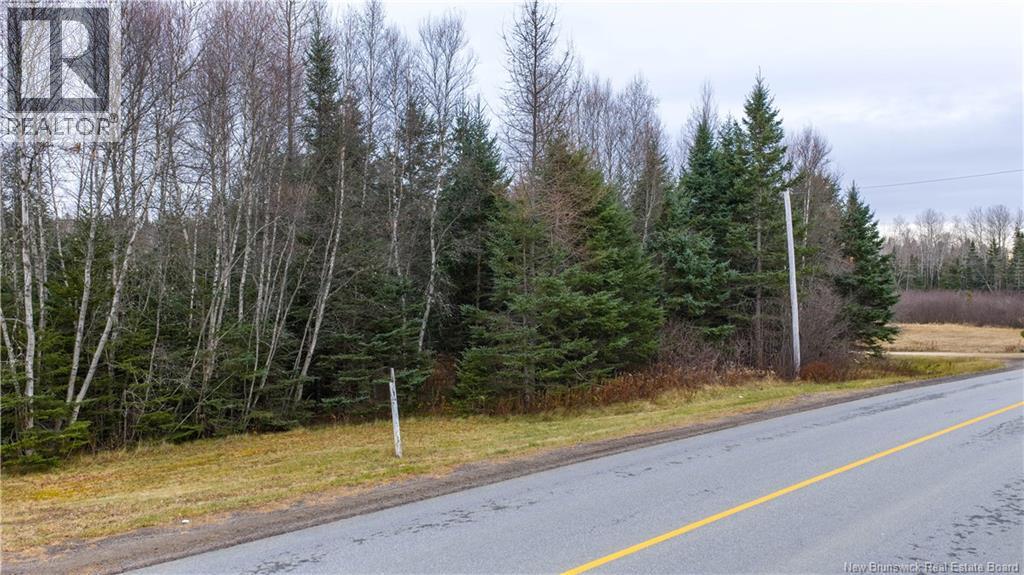 Lot 2019-1 Route 121, Bloomfield, New Brunswick E5N 4V2 - Photo 15 - NB130392