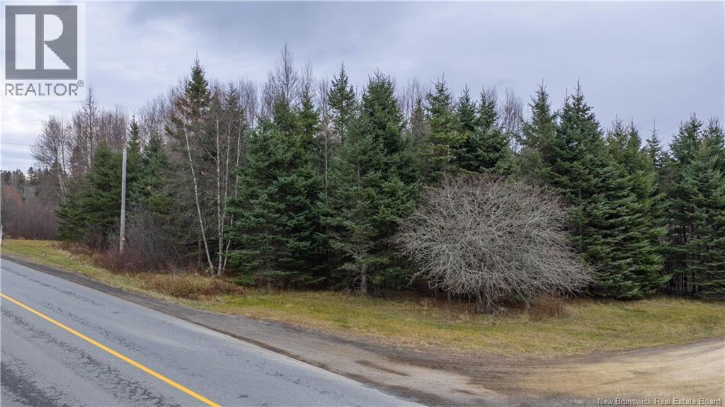 Lot 2019-1 Route 121, Bloomfield, New Brunswick E5N 4V2 - Photo 16 - NB130392