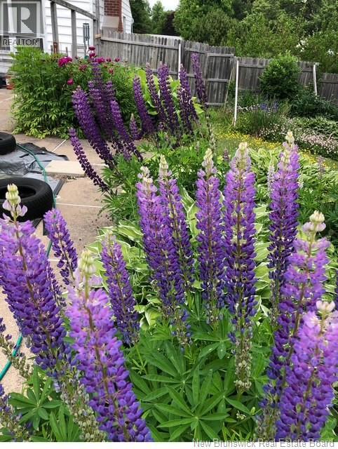 104 Lancelot Drive, Quispamsis, New Brunswick E2E 1R8 - Photo 46 - NB130357