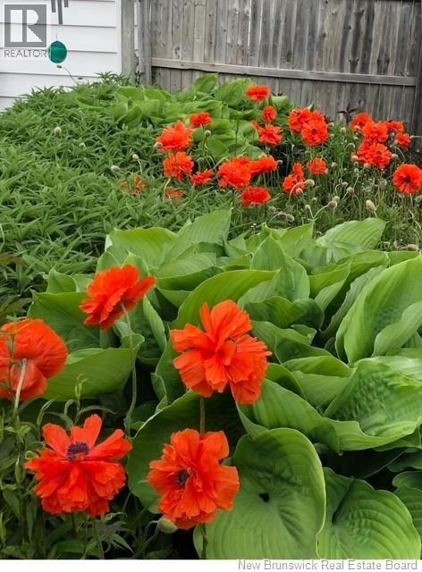 104 Lancelot Drive, Quispamsis, New Brunswick E2E 1R8 - Photo 49 - NB130357