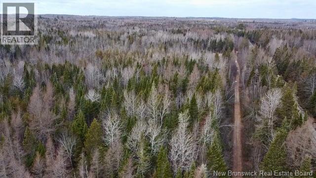 00 Dixon Road, Lawrence Station, New Brunswick  E5A 1S8 - Photo 5 - NB130656