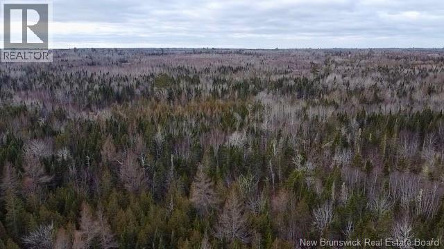 00 Dixon Road, Lawrence Station, New Brunswick  E5A 1S8 - Photo 7 - NB130656