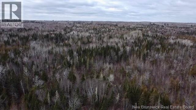 00 Dixon Road, Lawrence Station, New Brunswick  E5A 1S8 - Photo 9 - NB130656