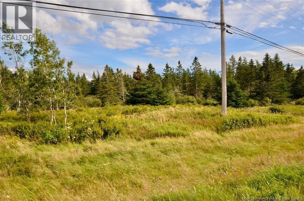 Lot Route 16, Pointe De Bute, New Brunswick  E4Z 2N5 - Photo 4 - NB130682