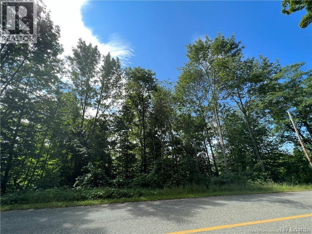 1 Vacant Land Route 105, Bear Island, New Brunswick E6L 1K1 - Photo 2 - NB130684