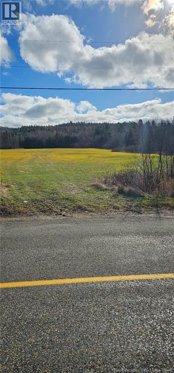 Lot Hwy 850, Kiersteadville, New Brunswick E5T 3L1 - Photo 3 - NB130652