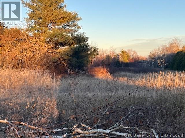 Lot Rue Principale, Tracadie, New Brunswick E1X 1E3 - Photo 3 - NB130558