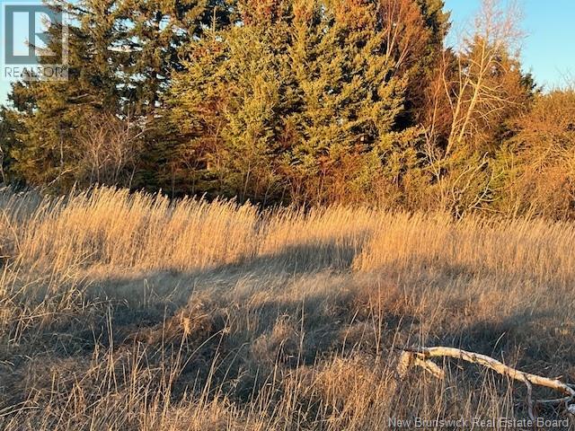 Lot Rue Principale, Tracadie, New Brunswick E1X 1E3 - Photo 4 - NB130558