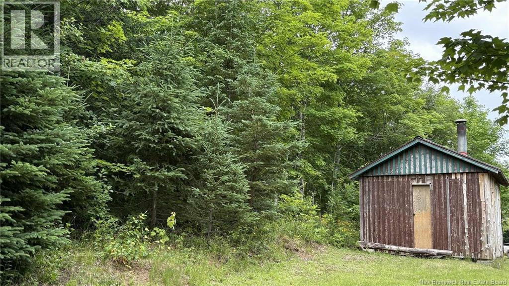 0 Carty Road, Elgin, New Brunswick E4Z 2H1 - Photo 12 - NB130415