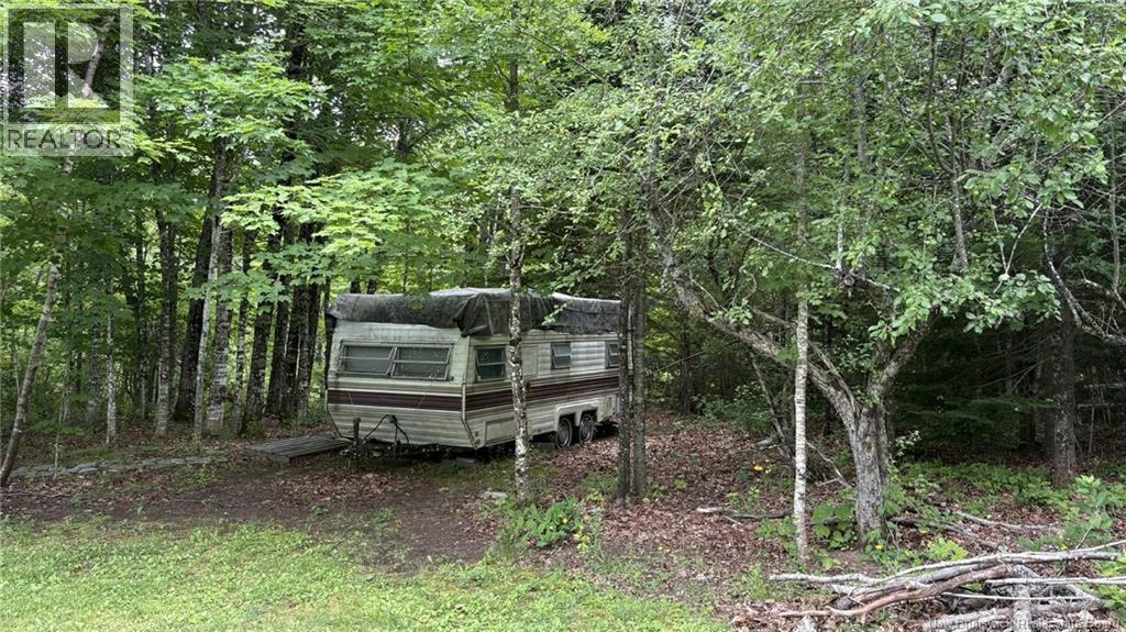 0 Carty Road, Elgin, New Brunswick E4Z 2H1 - Photo 14 - NB130415