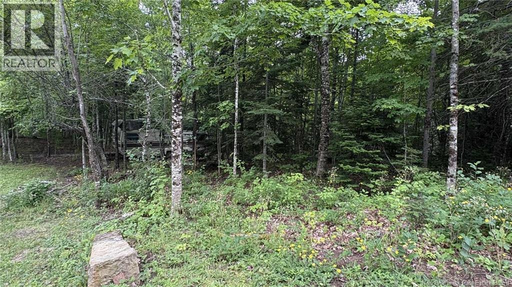 0 Carty Road, Elgin, New Brunswick E4Z 2H1 - Photo 44 - NB130415