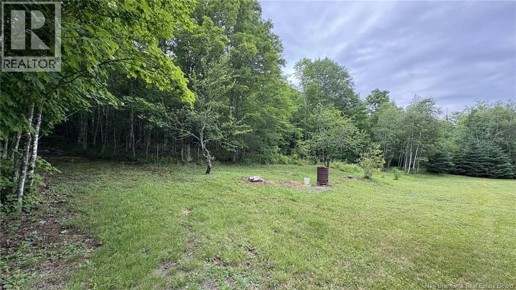 0 Carty Road, Elgin, New Brunswick E4Z 2H1 - Photo 47 - NB130415