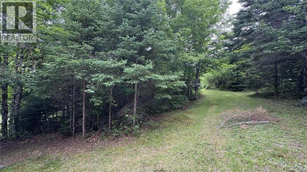 0 Carty Road, Elgin, New Brunswick E4Z 2H1 - Photo 50 - NB130415