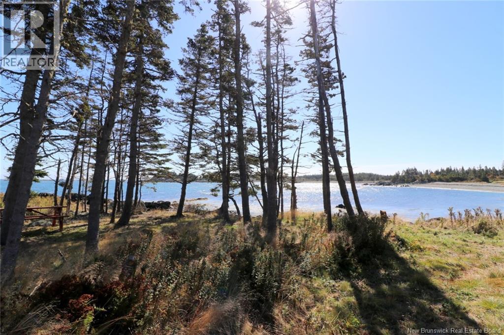 463 White Head Road, Grand Manan, New Brunswick  E5G 2K1 - Photo 10 - NB130709