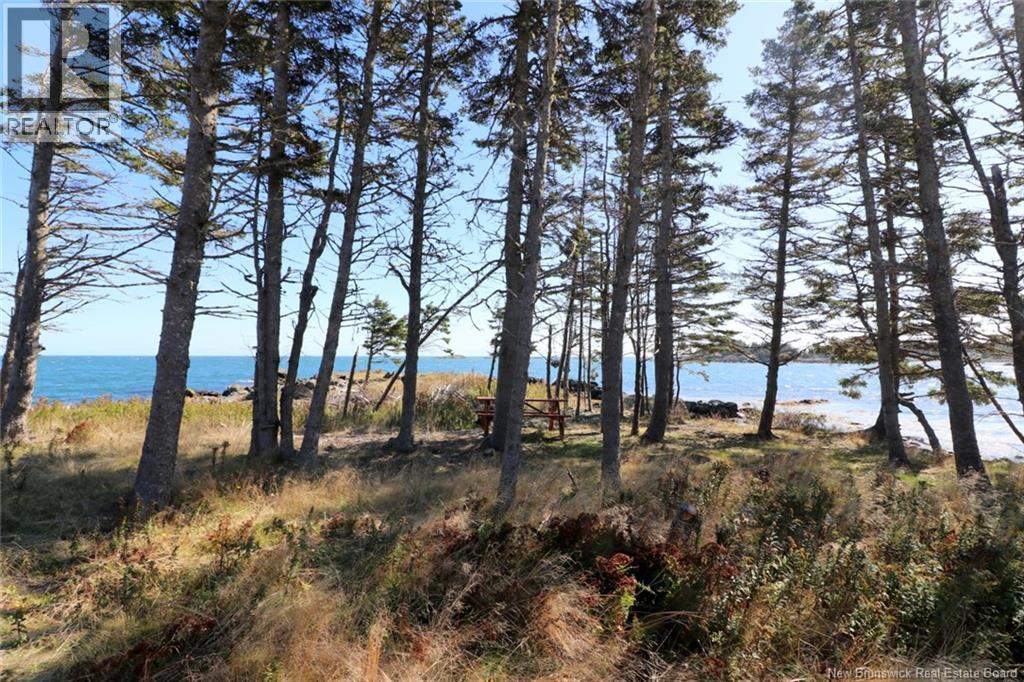 463 White Head Road, Grand Manan, New Brunswick  E5G 2K1 - Photo 11 - NB130709