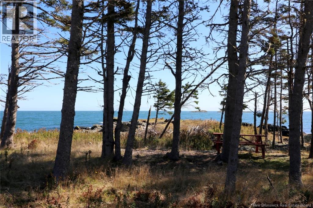 463 White Head Road, Grand Manan, New Brunswick  E5G 2K1 - Photo 13 - NB130709