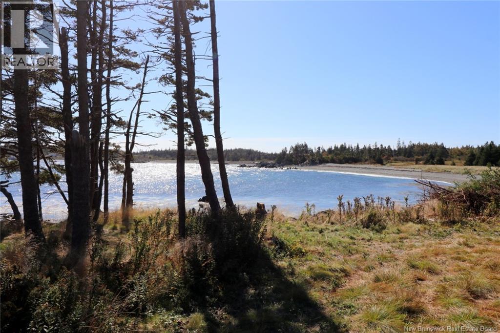 463 White Head Road, Grand Manan, New Brunswick  E5G 2K1 - Photo 15 - NB130709