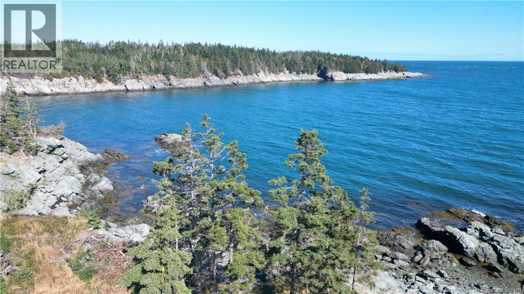 463 White Head Road, Grand Manan, New Brunswick  E5G 2K1 - Photo 3 - NB130709