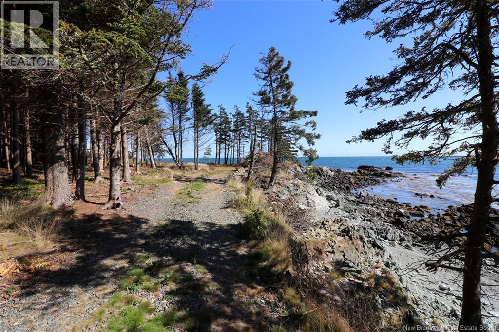 463 White Head Road, Grand Manan, New Brunswick  E5G 2K1 - Photo 8 - NB130709