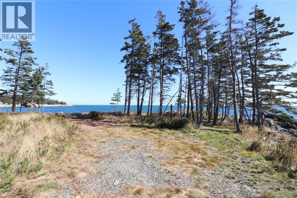 463 White Head Road, Grand Manan, New Brunswick  E5G 2K1 - Photo 9 - NB130709