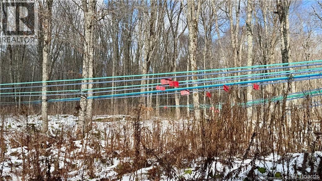 Na Woods Road, Kedgwick, New Brunswick E8B 1H1 - Photo 15 - NB130690