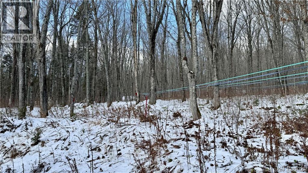 Na Woods Road, Kedgwick, New Brunswick  E8B 1H1 - Photo 20 - NB130689