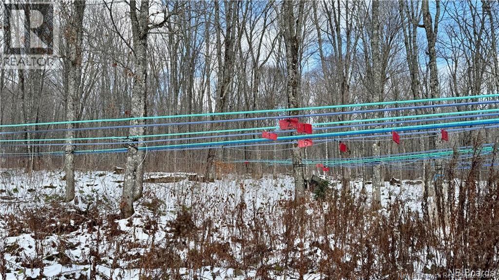 Na Woods Road, Kedgwick, New Brunswick  E8B 1H1 - Photo 25 - NB130689