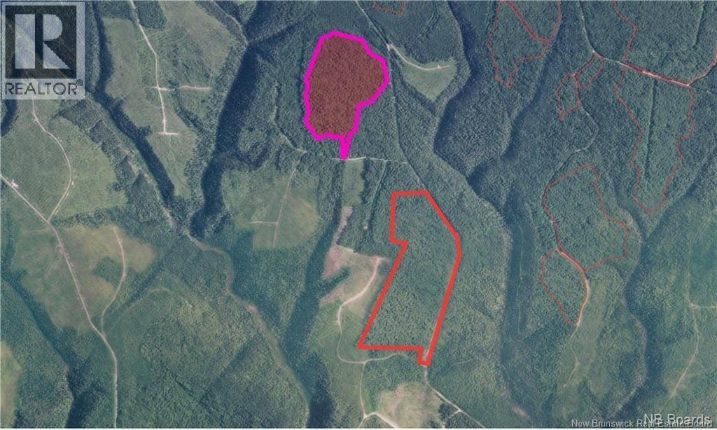 Na Woods Road, Kedgwick, New Brunswick  E8B 1H1 - Photo 4 - NB130689