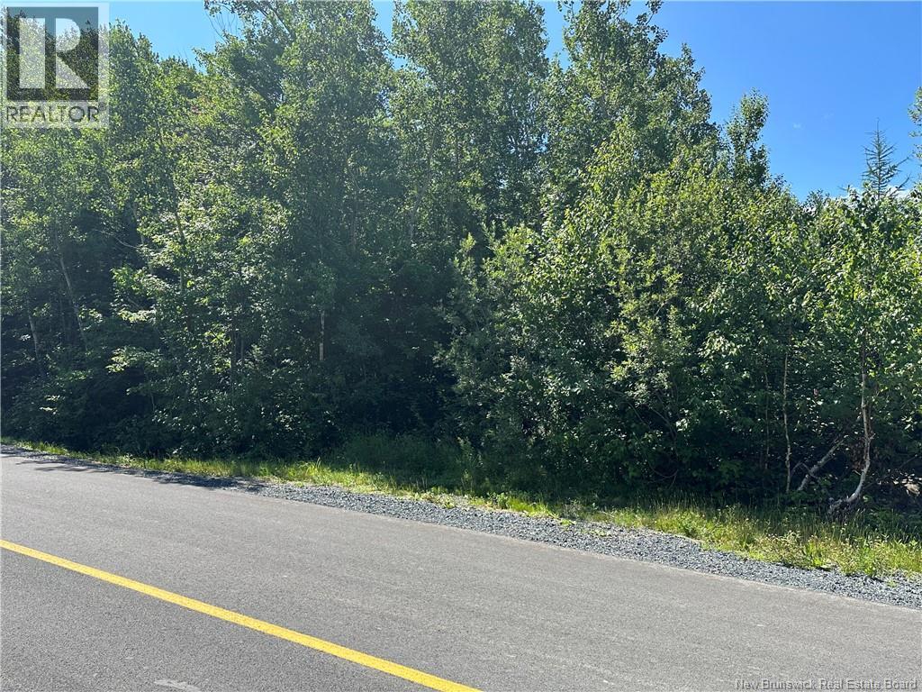 St. Mary Ave, Bathurst, New Brunswick