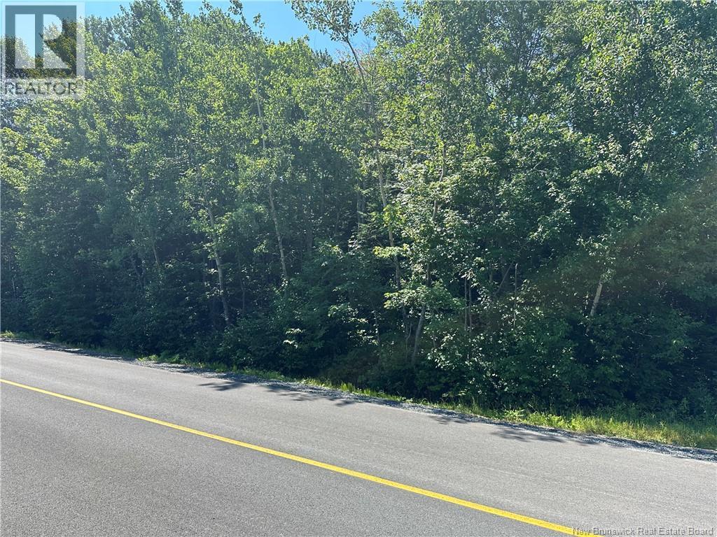 St. Mary Ave, Bathurst, New Brunswick  E2A 6J3 - Photo 2 - NB130590