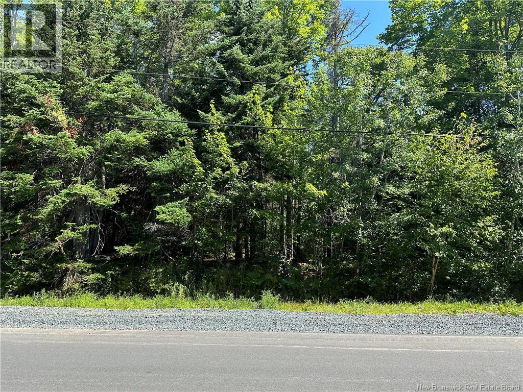 St. Mary Ave, Bathurst, New Brunswick  E2A 6J3 - Photo 3 - NB130590