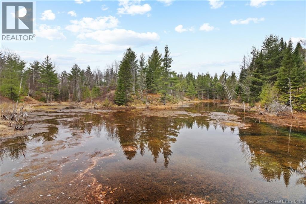 8353 Route 10, Cumberland Bay, New Brunswick  O0O 0O0 - Photo 10 - NB130729