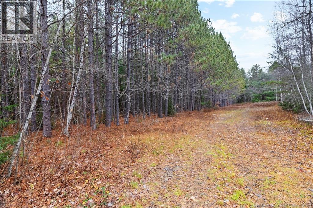 8353 Route 10, Cumberland Bay, New Brunswick  O0O 0O0 - Photo 13 - NB130729