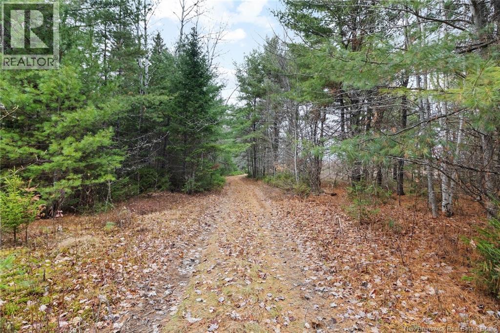 8353 Route 10, Cumberland Bay, New Brunswick  O0O 0O0 - Photo 17 - NB130729