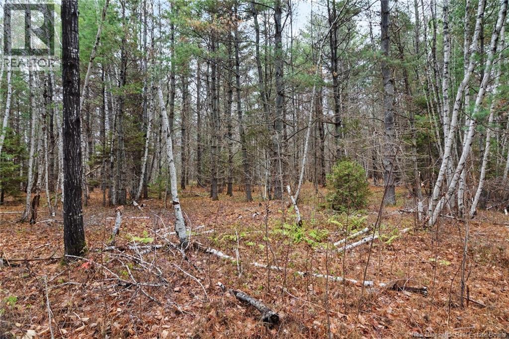 8353 Route 10, Cumberland Bay, New Brunswick  O0O 0O0 - Photo 19 - NB130729