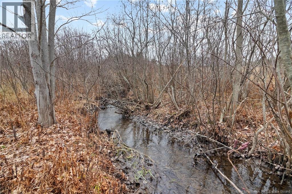 8353 Route 10, Cumberland Bay, New Brunswick  O0O 0O0 - Photo 23 - NB130729