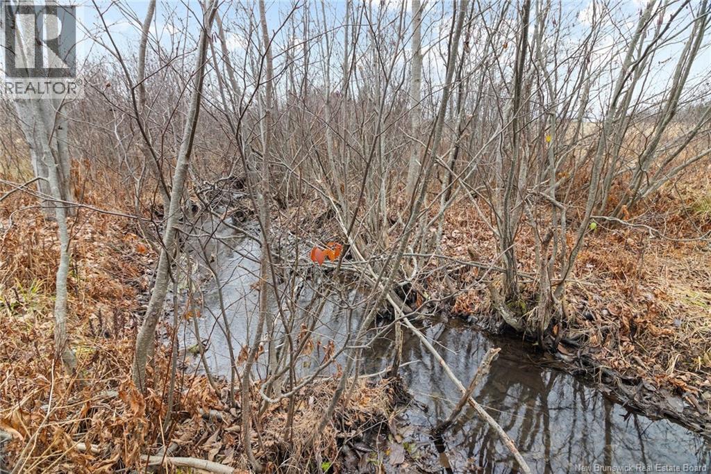 8353 Route 10, Cumberland Bay, New Brunswick  O0O 0O0 - Photo 24 - NB130729