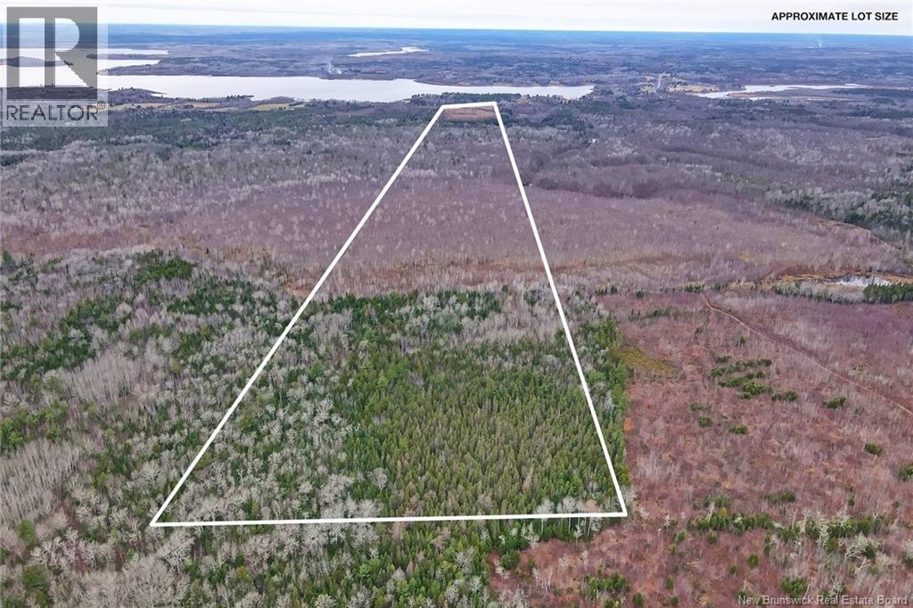 8353 Route 10, Cumberland Bay, New Brunswick  O0O 0O0 - Photo 3 - NB130729