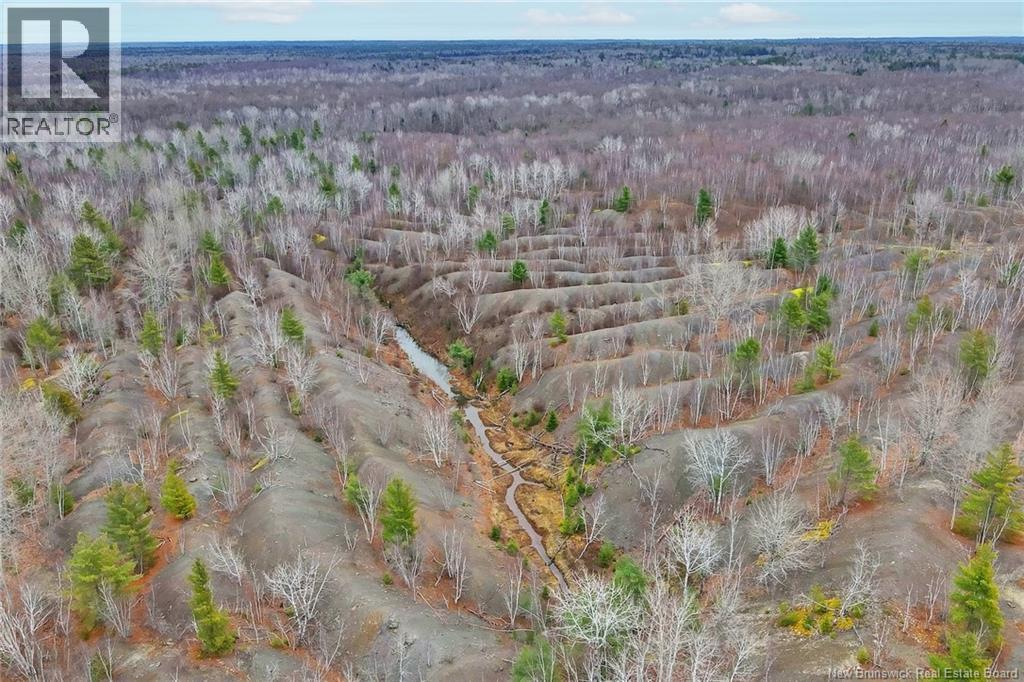 8353 Route 10, Cumberland Bay, New Brunswick  O0O 0O0 - Photo 39 - NB130729